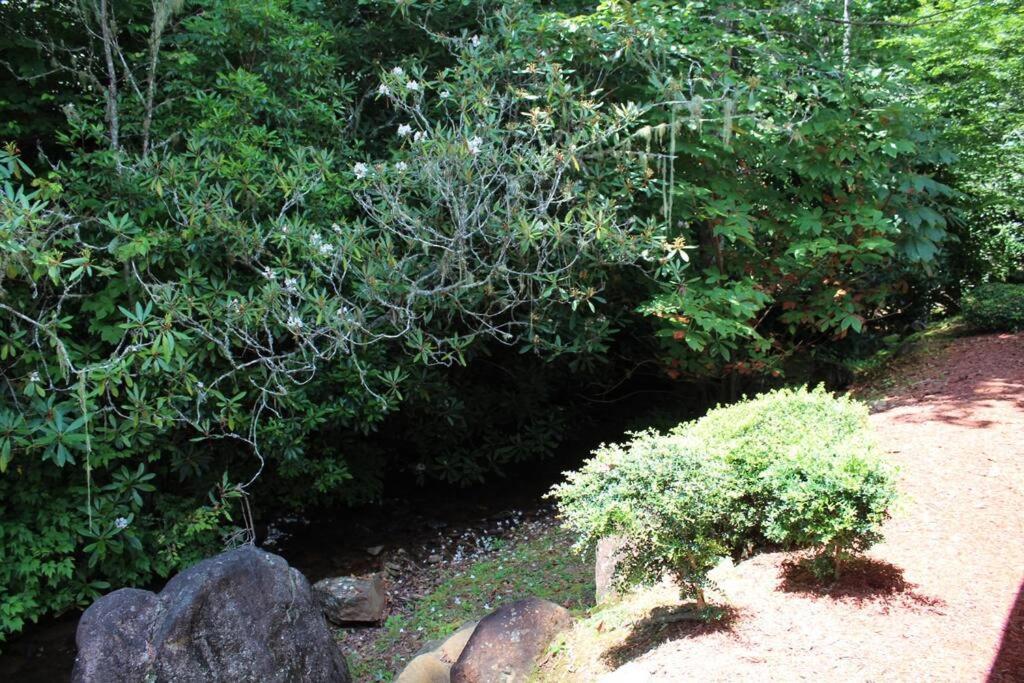 Creekside Gated Golf Mtn Villa W/Fast Wifi & Paved Franklin Exteriör bild