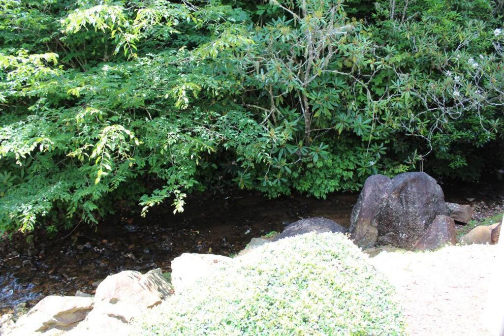 Creekside Gated Golf Mtn Villa W/Fast Wifi & Paved Franklin Exteriör bild